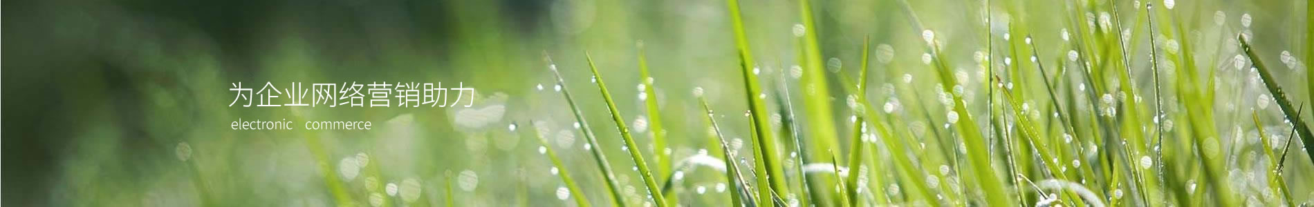 ϺȻʵҵչ޹˾